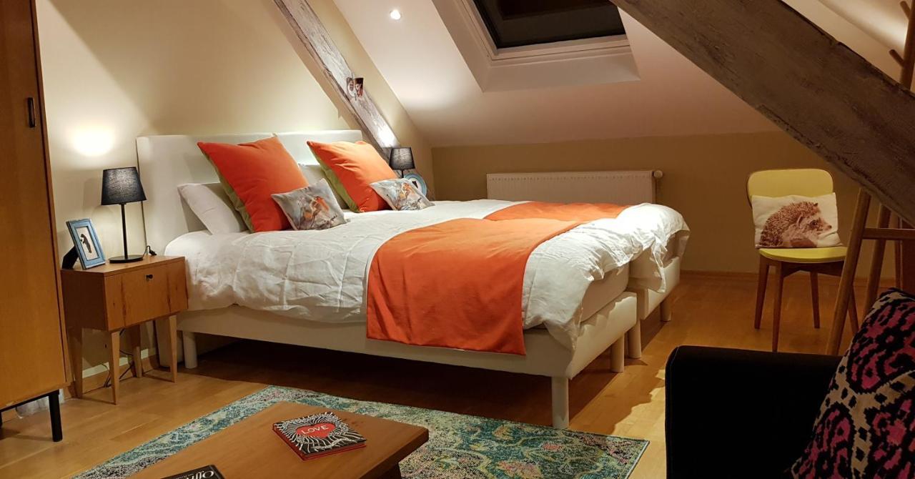 La Chouette Maison - Chambres D'Hotes Et Gite En Ville Remiremont Zewnętrze zdjęcie