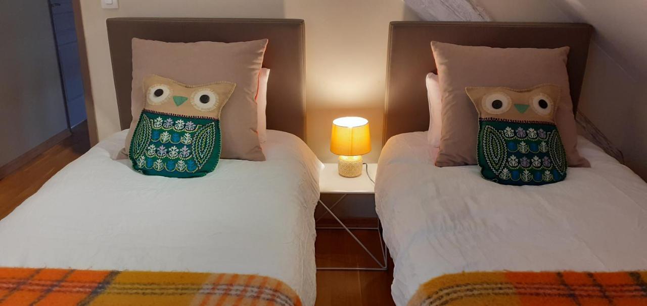 La Chouette Maison - Chambres D'Hotes Et Gite En Ville Remiremont Zewnętrze zdjęcie